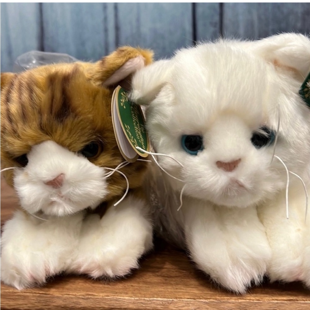 🎁BEARINGTON KITTIES